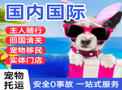 哈尔滨航空托运国际宠物托运 【国